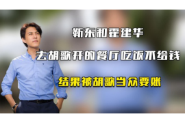 东至东至的要账公司在催收过程中的策略和技巧有哪些？