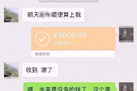 东至为什么选择专业追讨公司来处理您的债务纠纷？