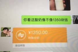 东至东至专业催债公司的催债流程和方法